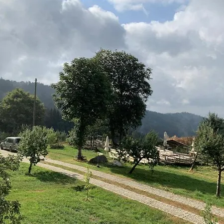 Josefine Am Grandsberg * Schwarzach